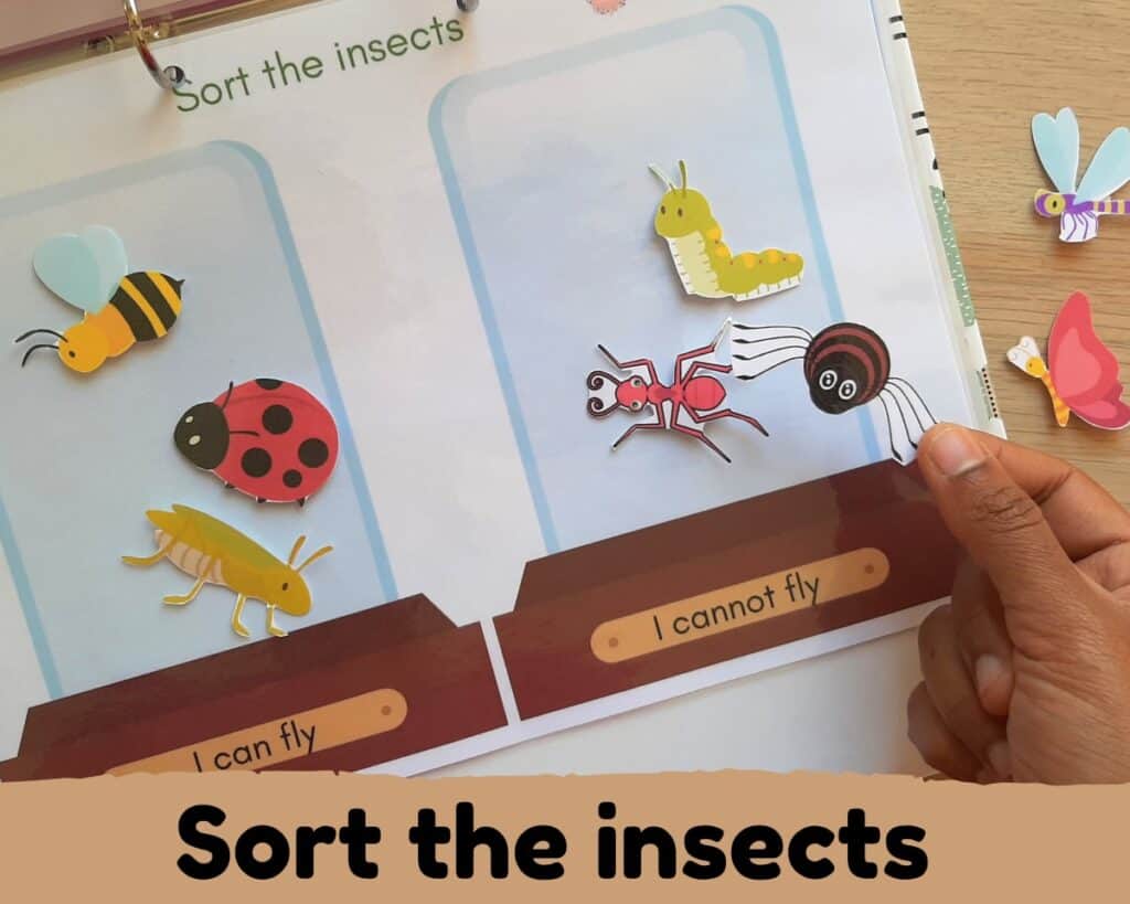 Sort the insects by characteristically