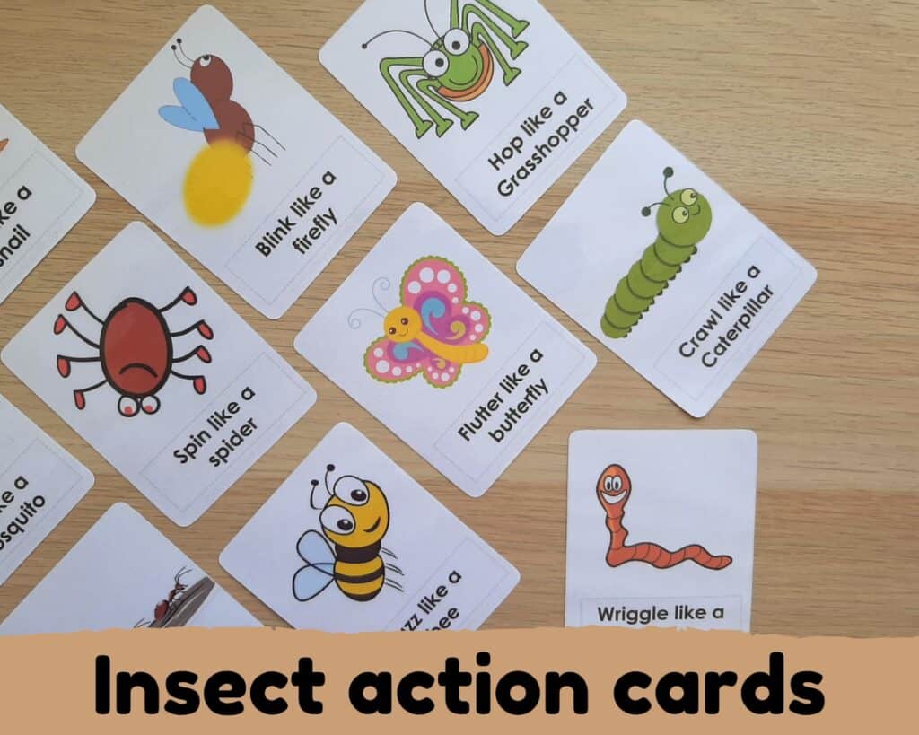 insect action cards -insect busy book part