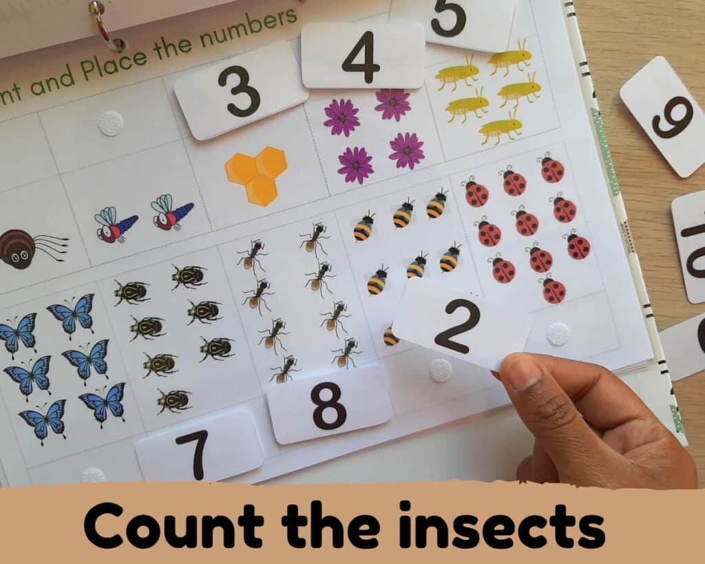 number matching counting activity