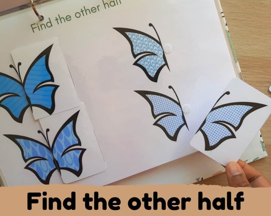 pattern matching activity. Find other half of butterfly