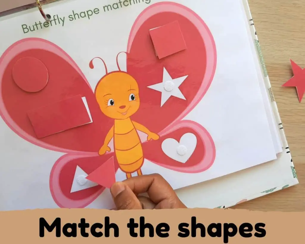 shape matching butterfly wing activity