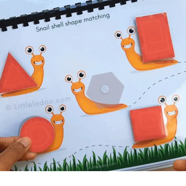 Snail shell shape matching busy book page