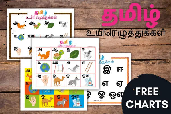 4 posters to teach tamil vowels