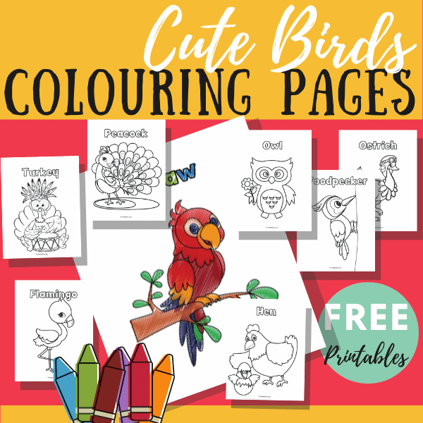 10 birds colouring pages free printable